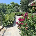 Solar Nemira-omis