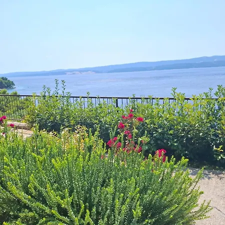 Apartamento Solar Nemira-omis